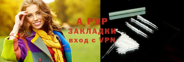 ГАЛЛЮЦИНОГЕННЫЕ ГРИБЫ Санкт-Петербург