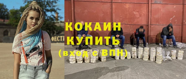 гашик Ладушкин