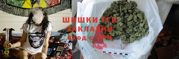каннабис Ессентукская