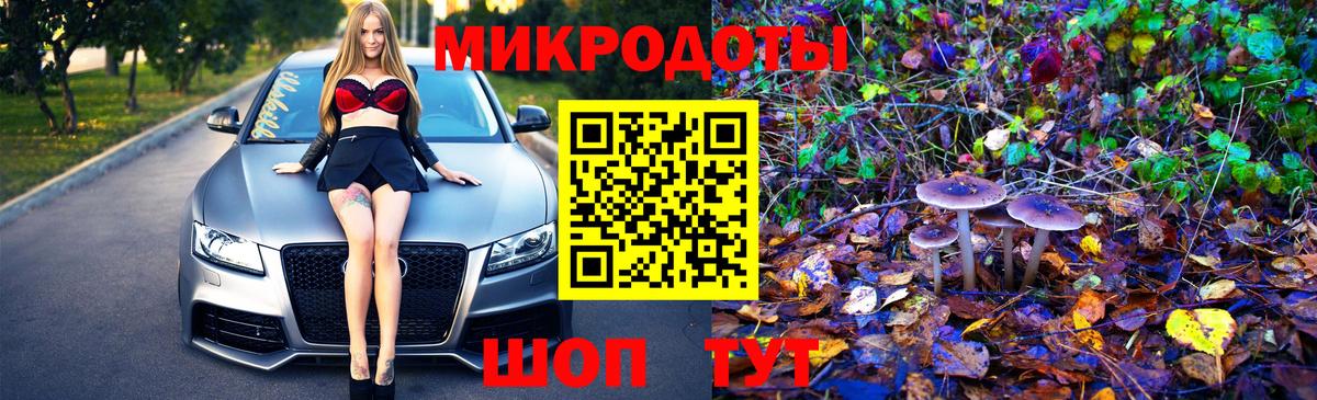 Галлюциногенные грибы мухоморы Тамбов