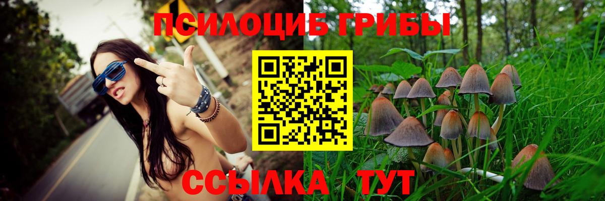 Псилоцибиновые грибы Psilocybine cubensis  что такое наркотик  Вход с VPN  Тамбов  Псилоцибиновые грибы мухоморы 
