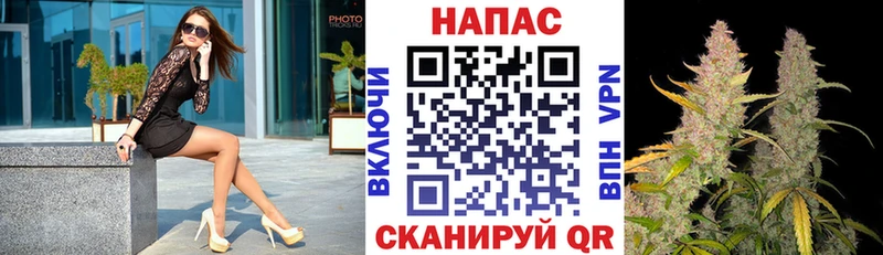 МАРИХУАНА план  продажа наркотиков  KRAKEN как войти  Тамбов 